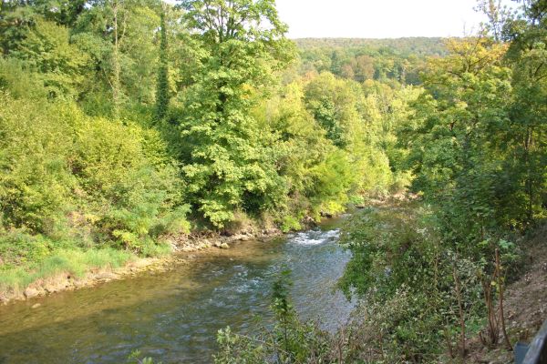 Riverside Apartment Hotel AG (Duggingen)